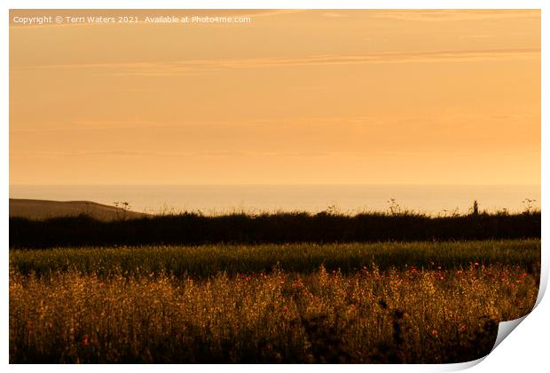 Cornish Summer Sunset Print by Terri Waters