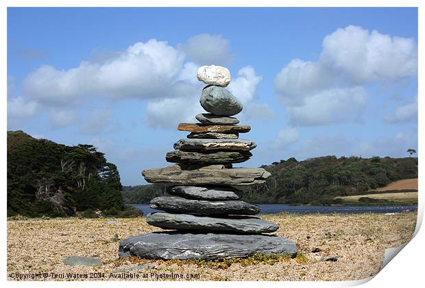 Beach sculpture Print by Terri Waters