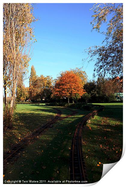 Autumn tracks Print by Terri Waters