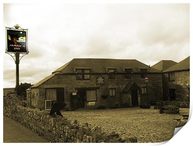 Jamaica Inn sepia with accent Print by Terri Waters