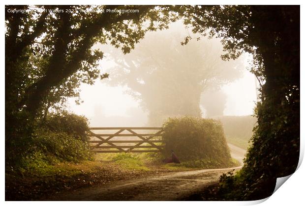 Misty Morning in the Country Print by Terri Waters