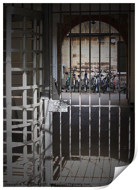 Banged up Bicycles in Oxford Print by Terri Waters