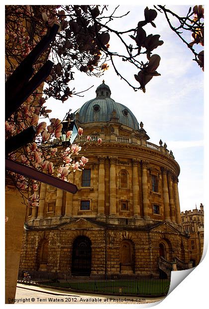 Radcliffe Camera Reading Rooms Oxford Print by Terri Waters