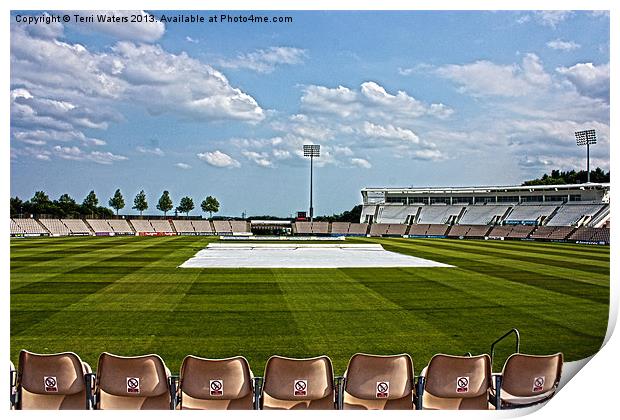 Hampshire County Cricket Ground Print by Terri Waters