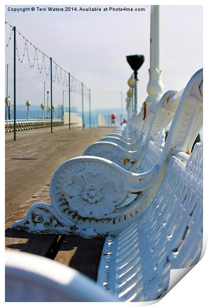 Wrought Iron Benches Torquay Pier Print by Terri Waters