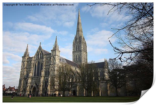 Salisbury Cathedral Print by Terri Waters