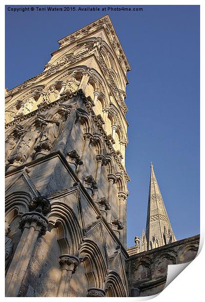  Salisbury Cathedral West Front And Spire Print by Terri Waters