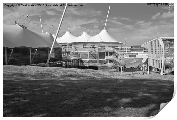  Cricket Ground Southampton Black And White Print by Terri Waters