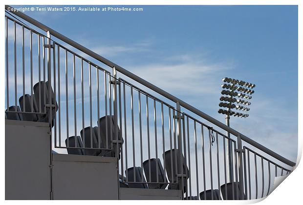  Stadium Seating Print by Terri Waters