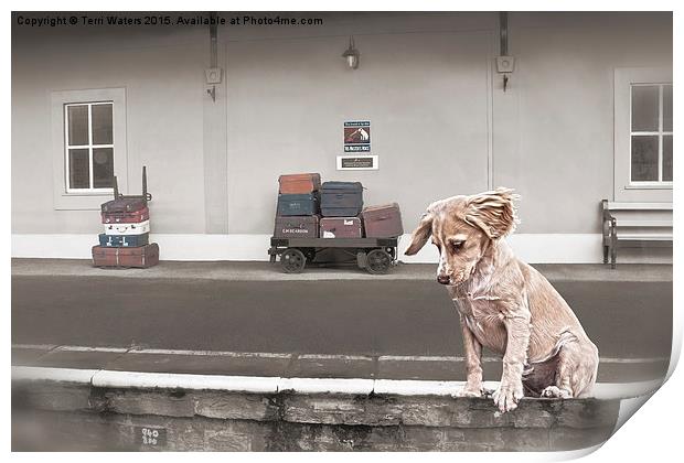Station Puppy Print by Terri Waters