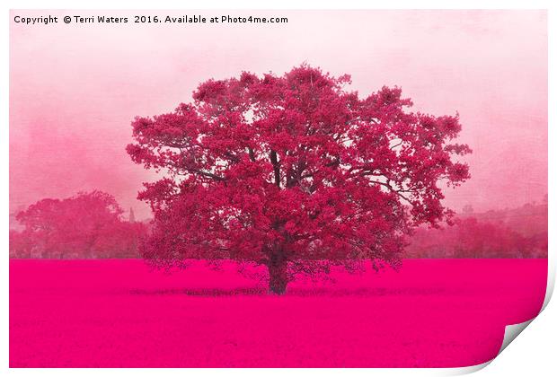 Hot Tree In A Field Of Pink Print by Terri Waters