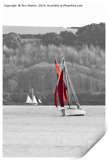 Isolated Yacht Carrick Roads Print by Terri Waters
