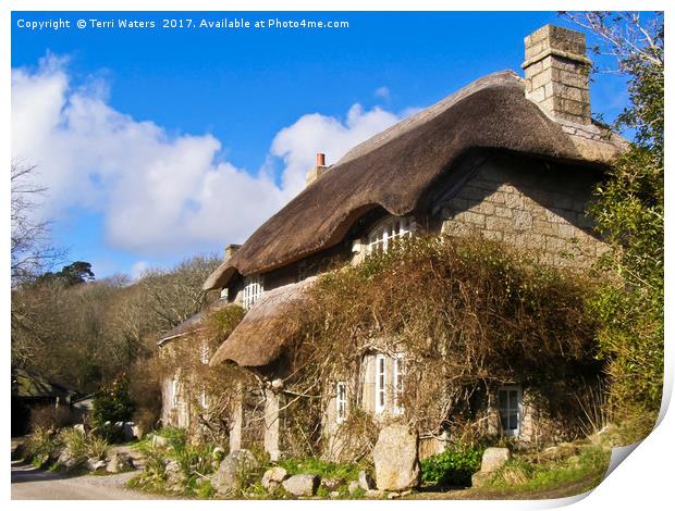Penberth Thatched Cottage Print by Terri Waters