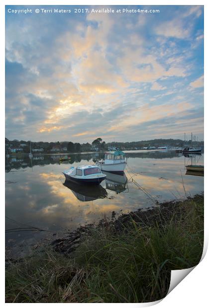 Light On The Boats Print by Terri Waters