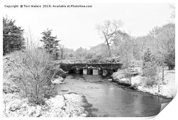 Old Carnon Bridge in the Snow Print by Terri Waters