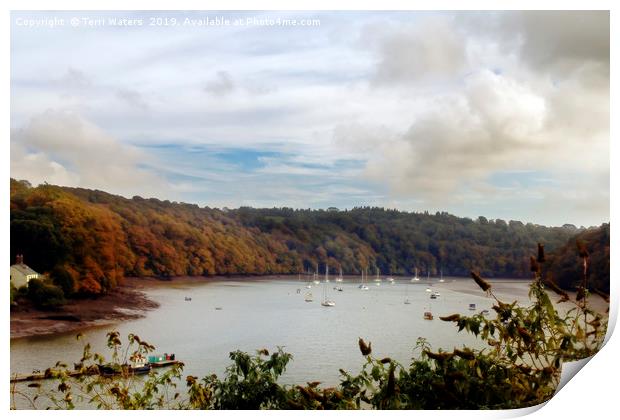 The View From Malpas Print by Terri Waters