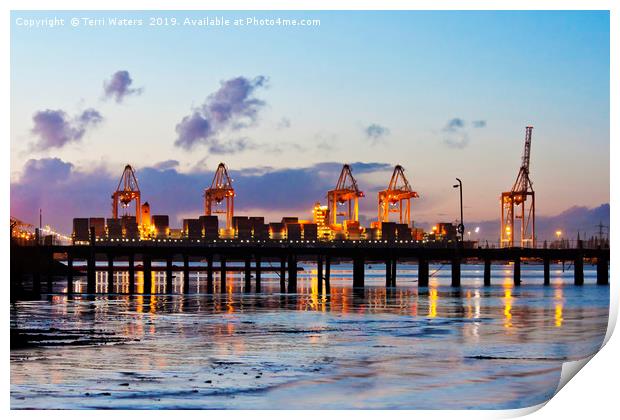 Southampton Container Port at Sunset Print by Terri Waters