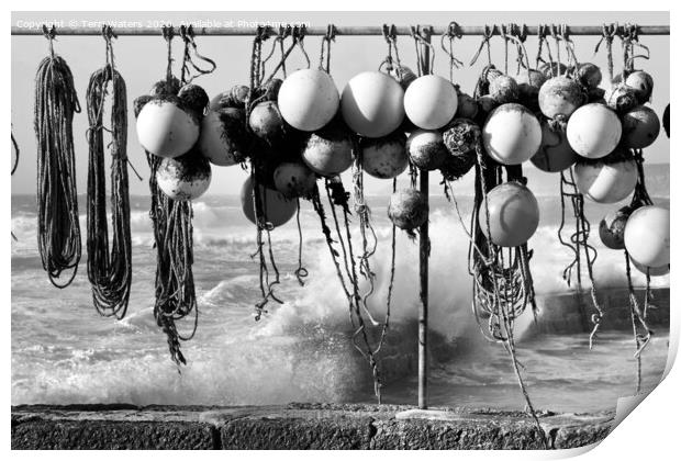 Fishing Buoys in Black and White Print by Terri Waters