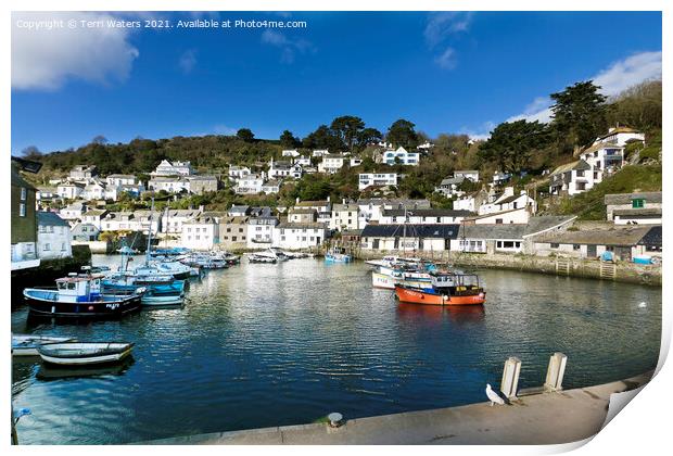 Polperro Boats Print by Terri Waters