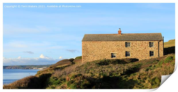 House of Dreams Print by Terri Waters