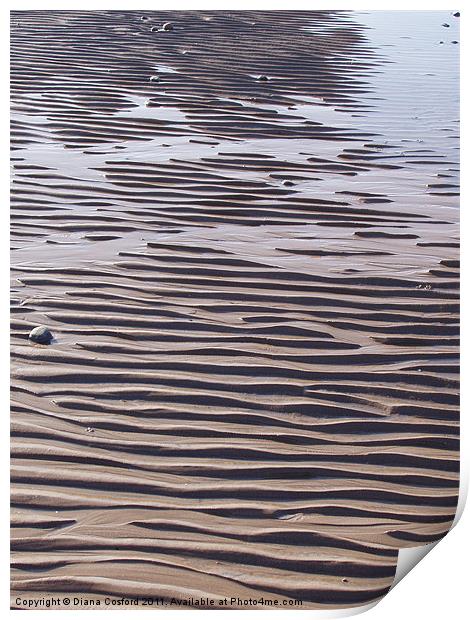 Walney Island beach & rippled sand Print by DEE- Diana Cosford