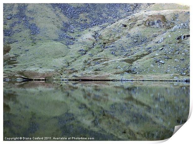 Reflections, Levers Water, The Lakes Print by DEE- Diana Cosford