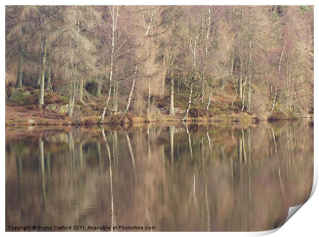 Reflections, Cumbria Print by DEE- Diana Cosford