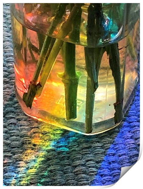 Prism through jam jar of flowers Print by DEE- Diana Cosford