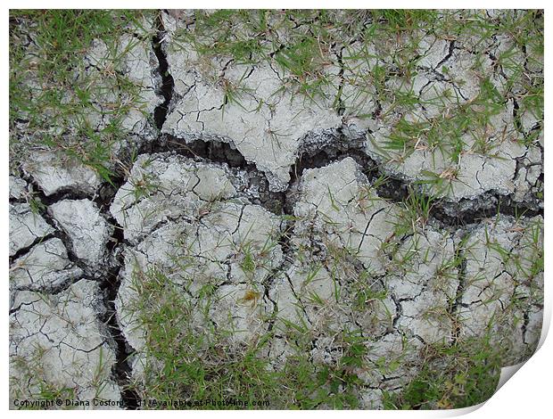 Parched earth, Bedfordshire walk. Print by DEE- Diana Cosford