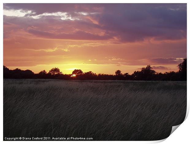 Sunset over fields Print by DEE- Diana Cosford