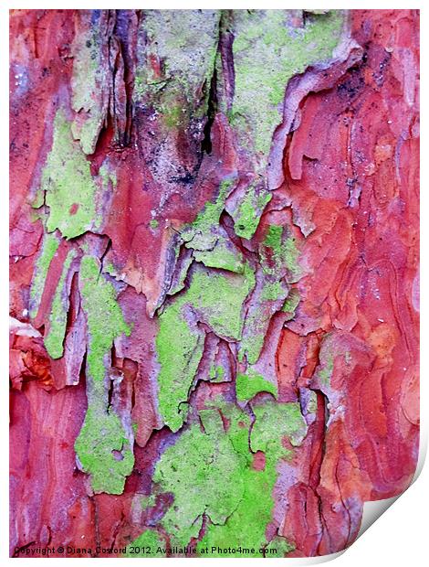 PINK & green tree bark Print by DEE- Diana Cosford