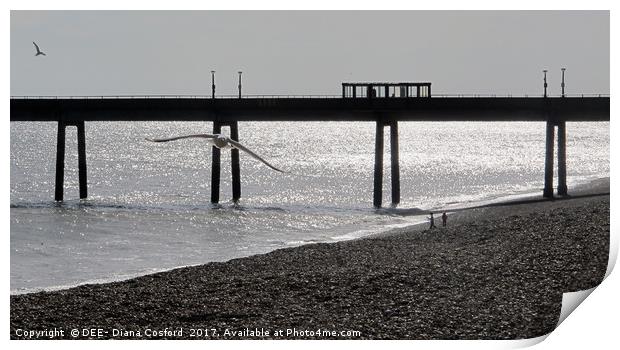 Deal Pier, Kent coastline with seagull.            Print by DEE- Diana Cosford
