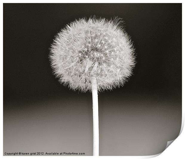 Dandelion seeds Print by karen grist