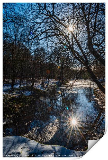Reflected Winter Sun Print by Colin Metcalf