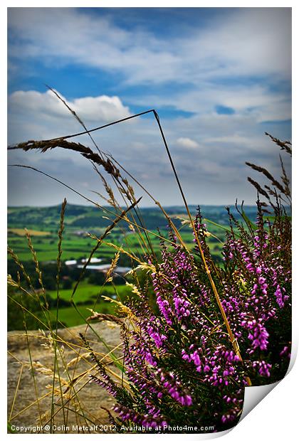 View from Otley Chevin #1 Print by Colin Metcalf