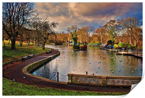 The Boating Lake Print by Colin Metcalf