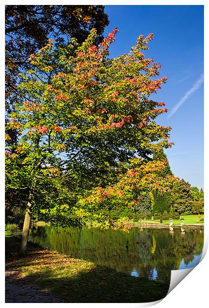  Thorp Perrow Autumn Print by Colin Metcalf