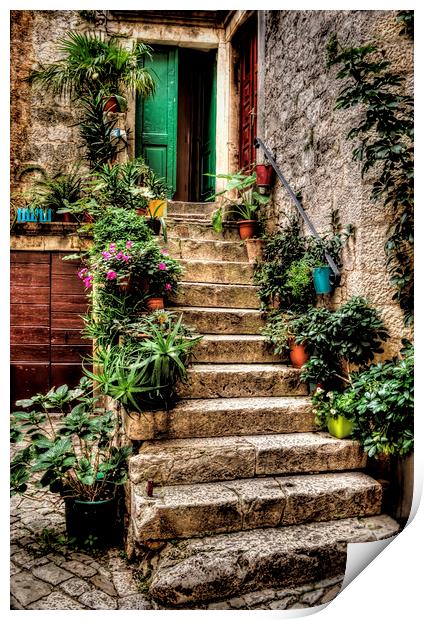 Courtyard Steps Print by Colin Metcalf
