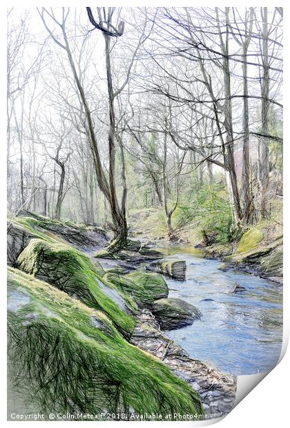 Woodland Stream Print by Colin Metcalf