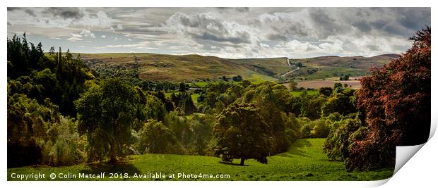 Northumbria Panorama Print by Colin Metcalf