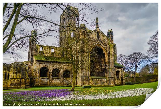 Crocuses at the Abbey Print by Colin Metcalf