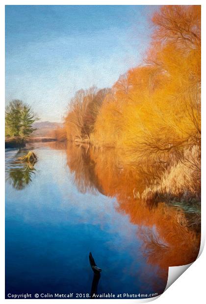Winter Sun on the Aire Print by Colin Metcalf