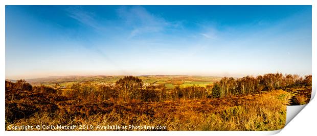 Surprise View Print by Colin Metcalf