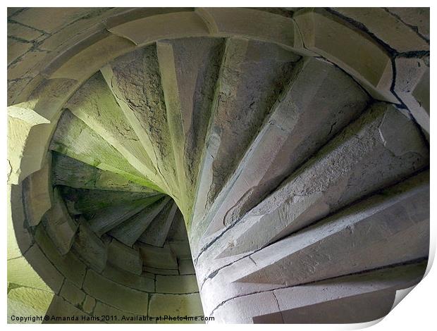 Spiral Staircase Print by Amanda Harris