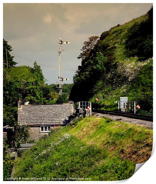 Swanage Steam Railway Line Print by Linsey Williams