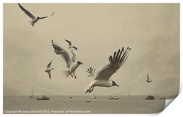 Gulls Print by Linsey Williams