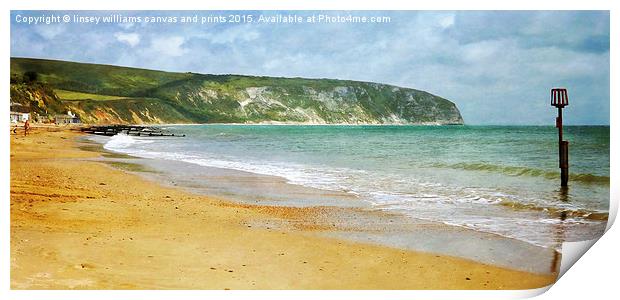  Sunshine On The Isle Of Purbeck Print by Linsey Williams