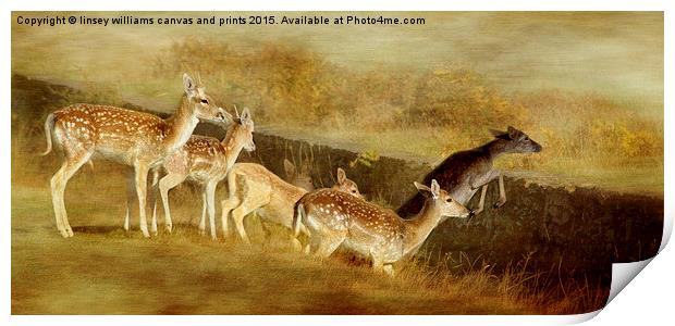  Fallow Deer Running Away Print by Linsey Williams