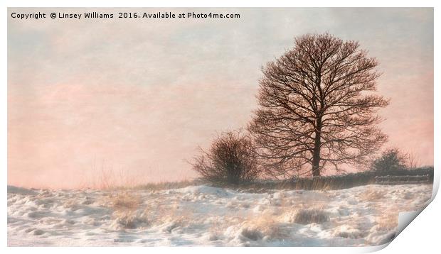 A Misty Winter Sunset Print by Linsey Williams