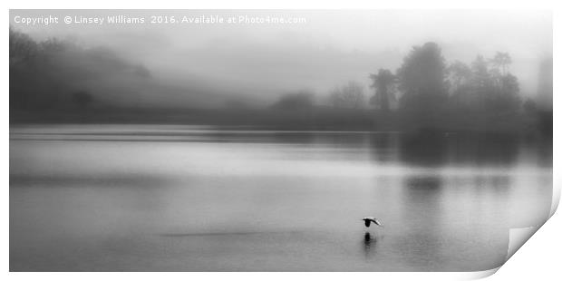 Early Morning Mist On Thornton Reservoir Print by Linsey Williams